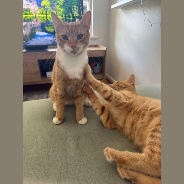 Photo of Saige & Charlie 