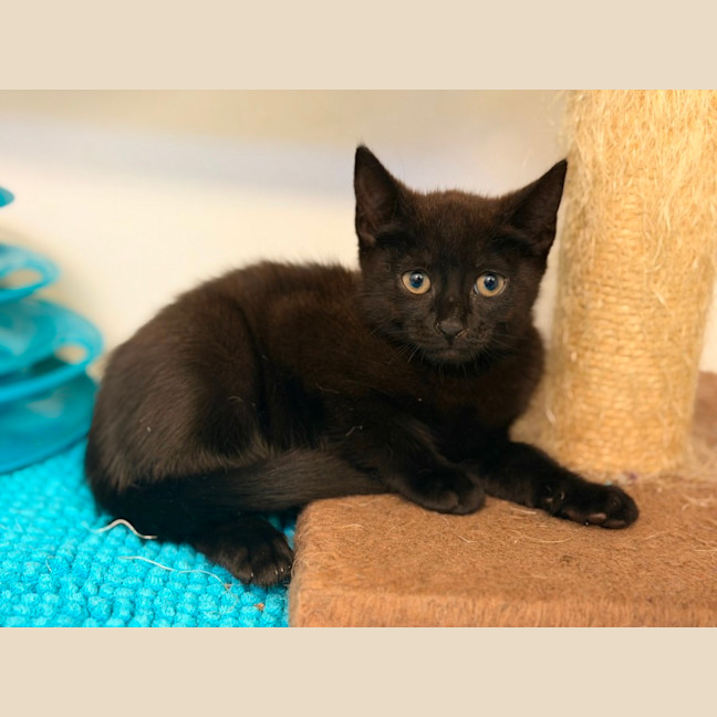 Photo of Morticia