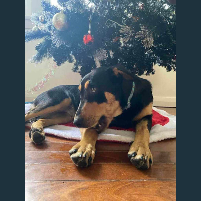 Photo of Narla