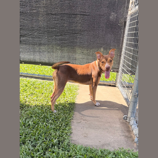 Photo of Coco