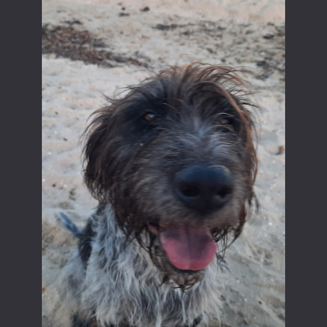 Photo of Chloe