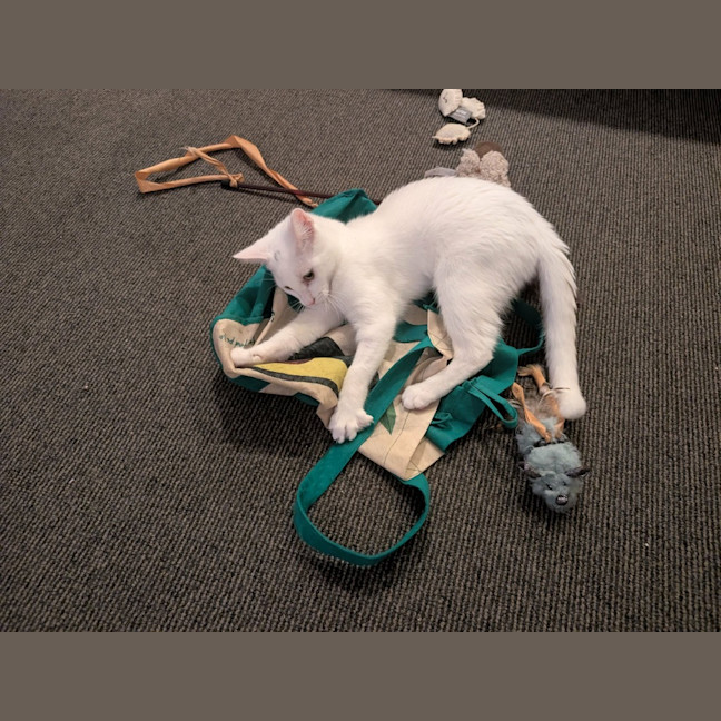 Photo of Cloud