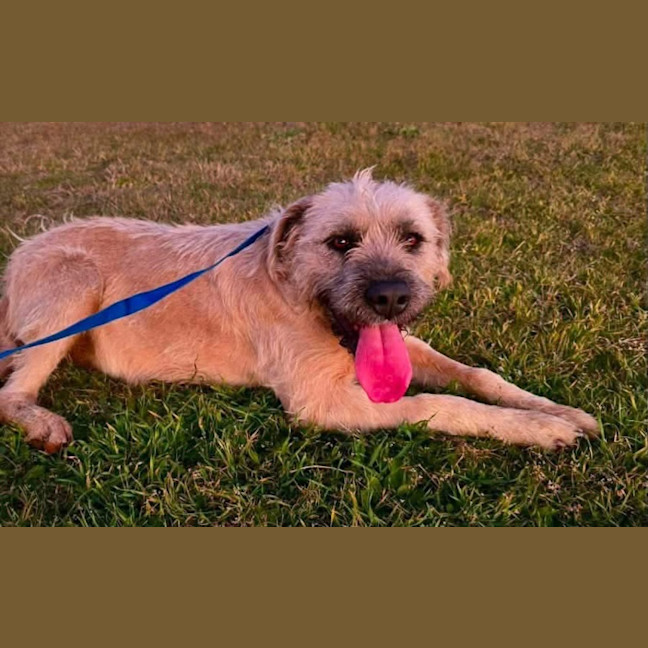 Photo of Flake