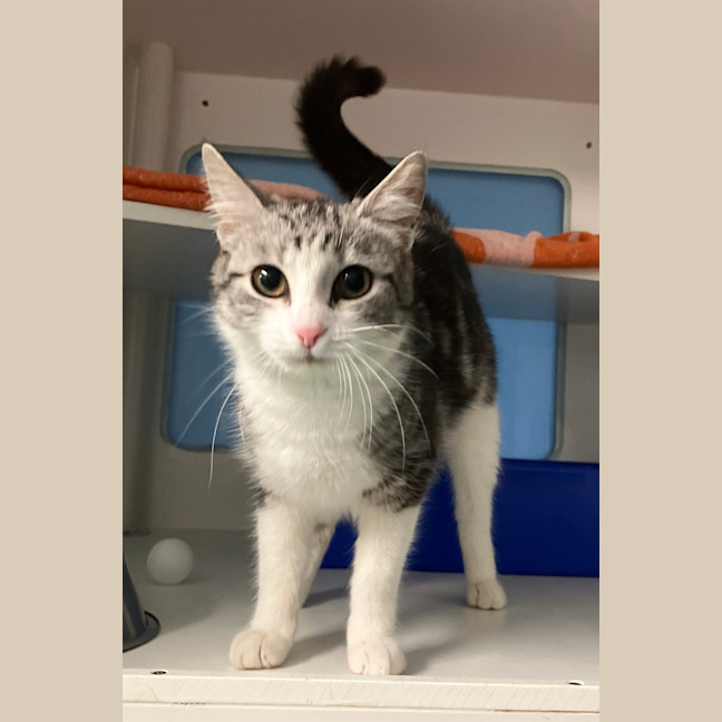 Photo of Reggie