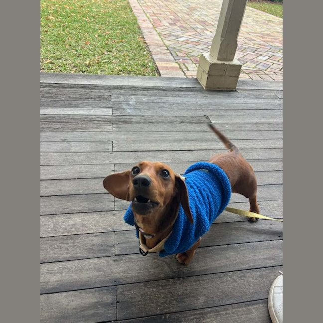 Photo of Sapphire 