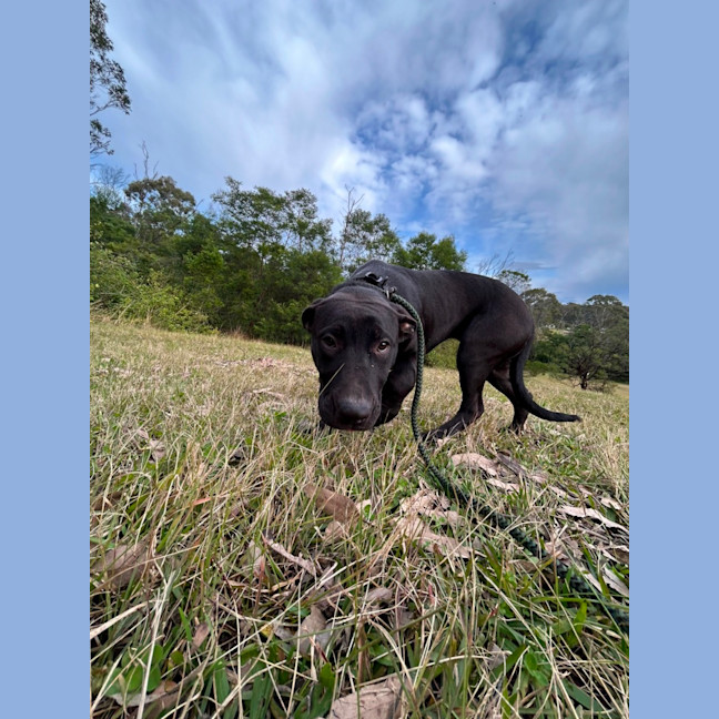 Photo of Sporty Spice