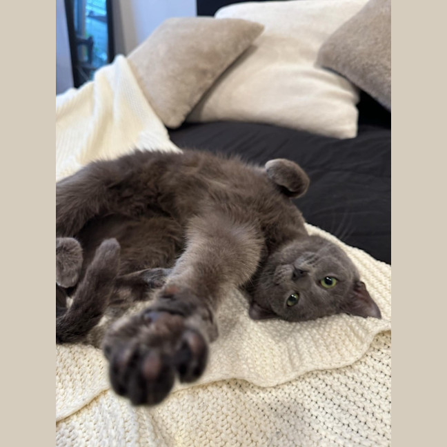 Photo of Cora