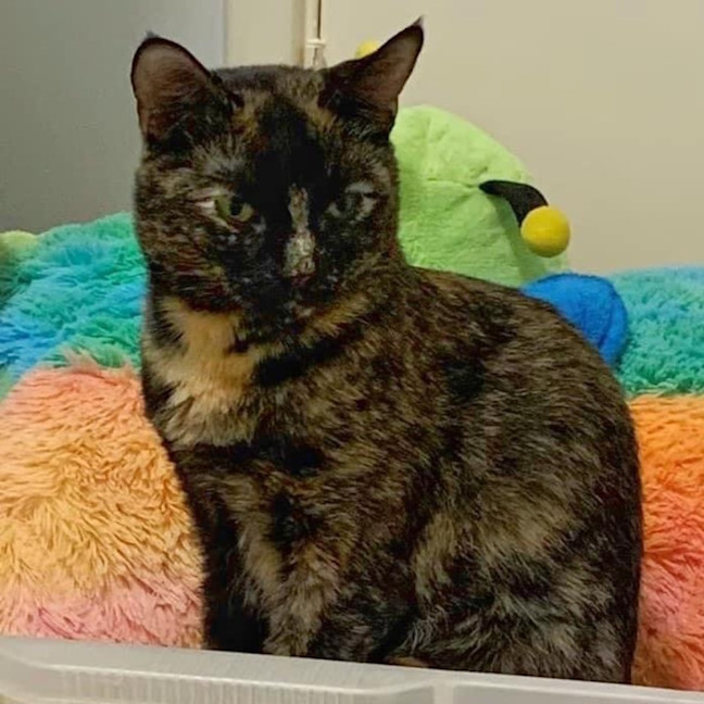 Photo of 11025   Molly