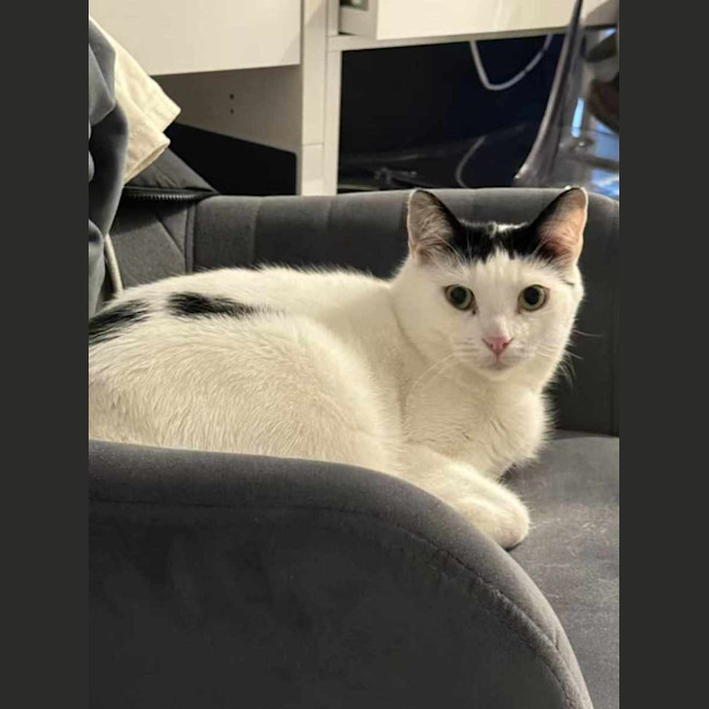 Photo of Nini & Ekko