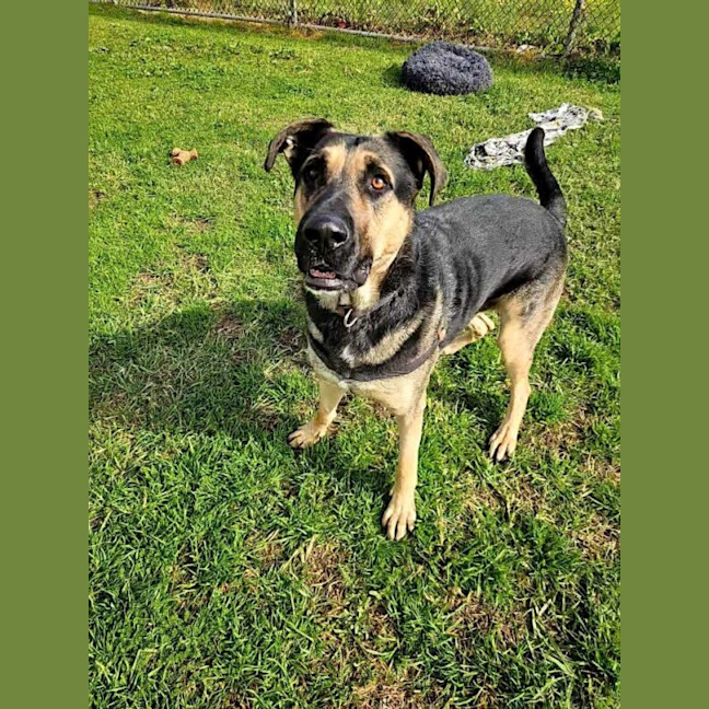 Photo of Zeke