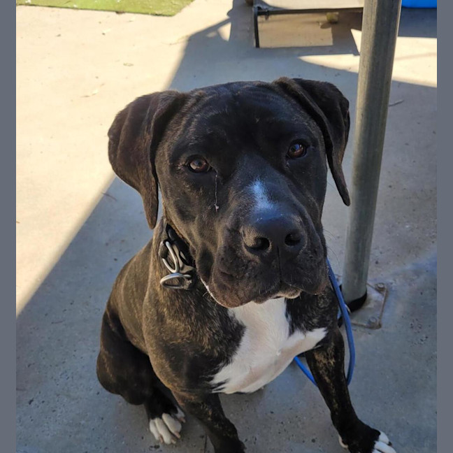 Photo of Mickey Cash