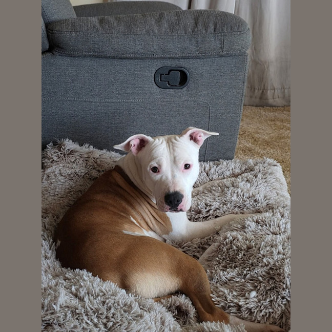 Photo of Meeka