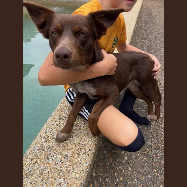 Photo of Tessa