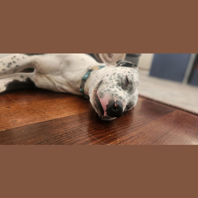 Photo of Rockefeller