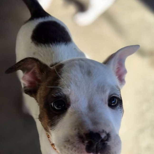 Photo of Storm