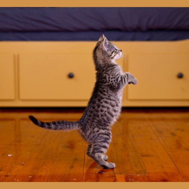 Photo of Groundskeeper Willy