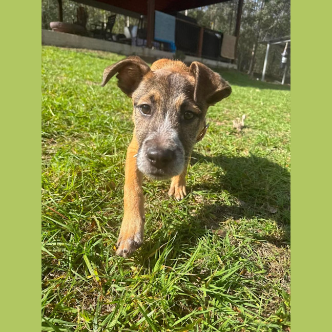 Photo of Ernie