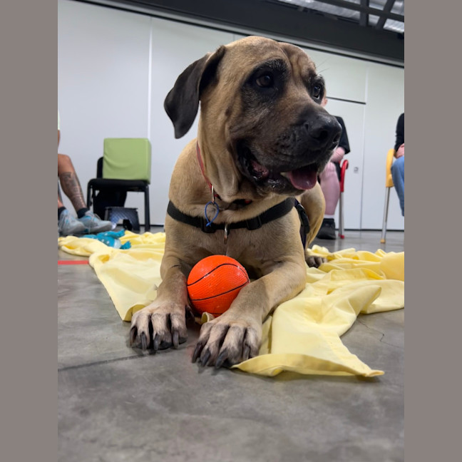 Photo of Roxy