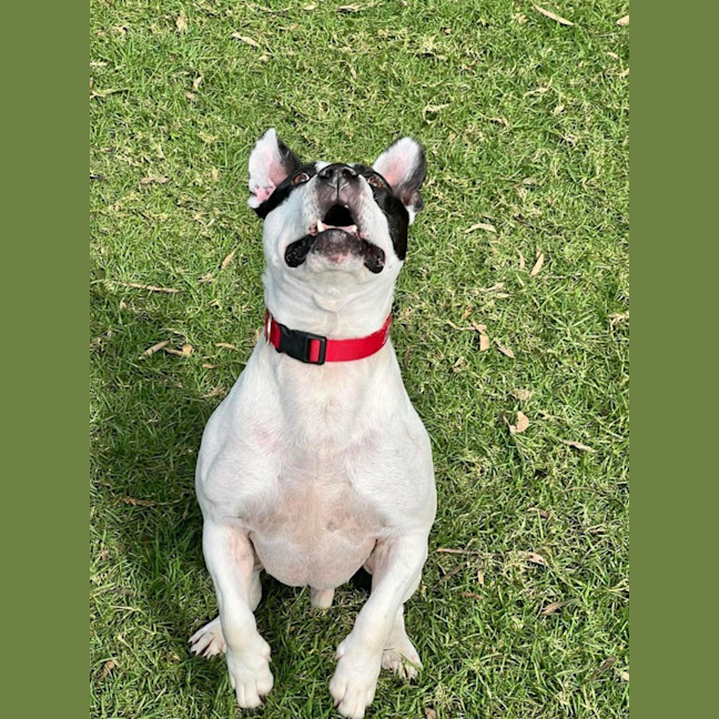 Photo of Biggie Smallz