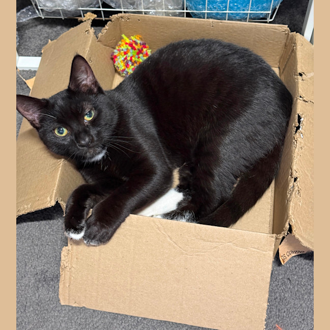 Photo of Astro