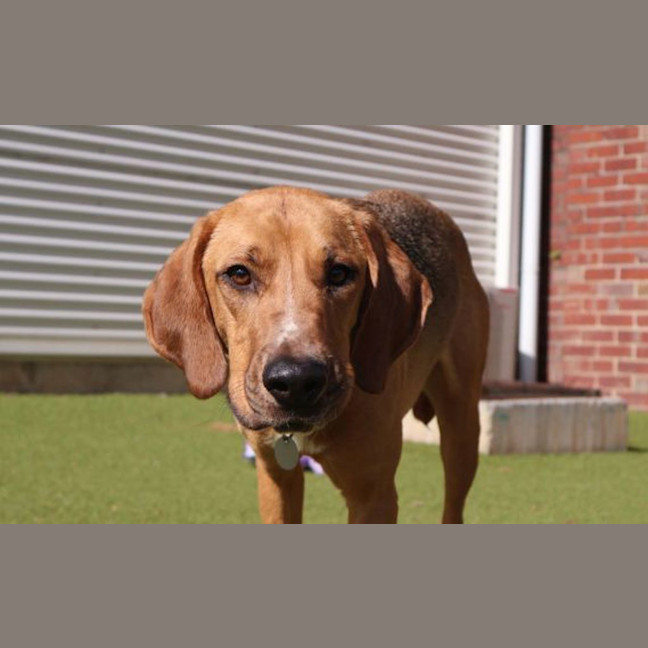 Photo of Kobi