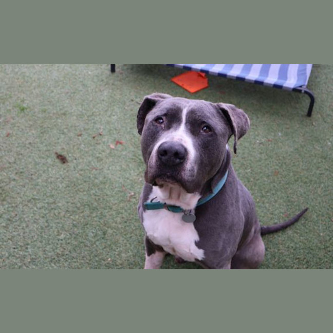 Photo of Jax