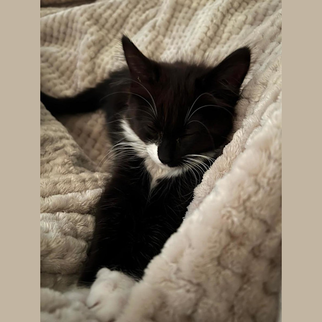 Photo of Vinnie 🧸