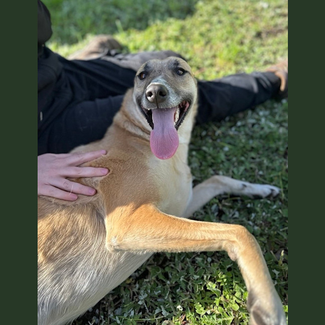 Photo of Zena