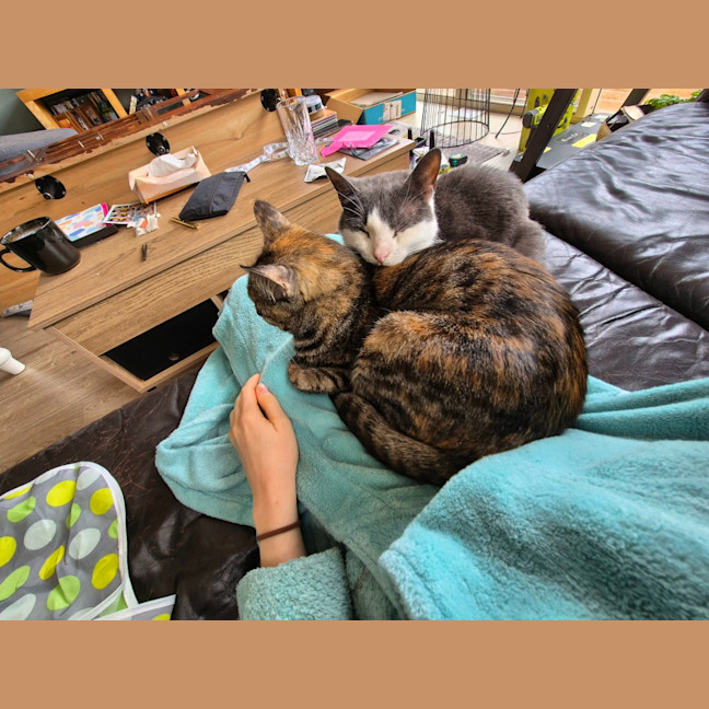 Photo of Stu / Sophie