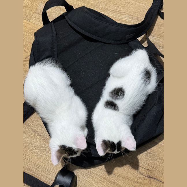 Photo of Bean And Biscuit