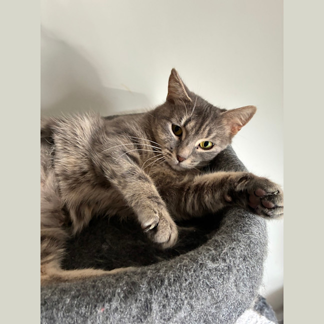Photo of Molly 
