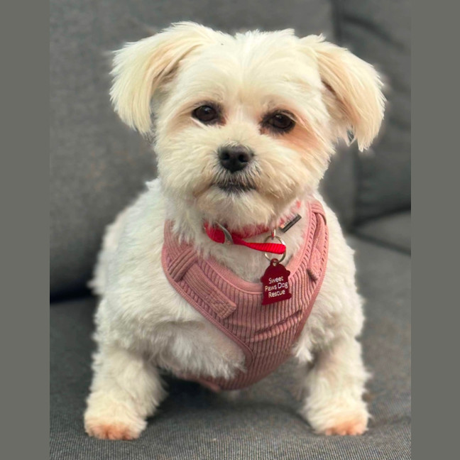 Photo of Sophie