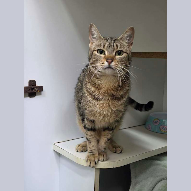 Photo of Sandy