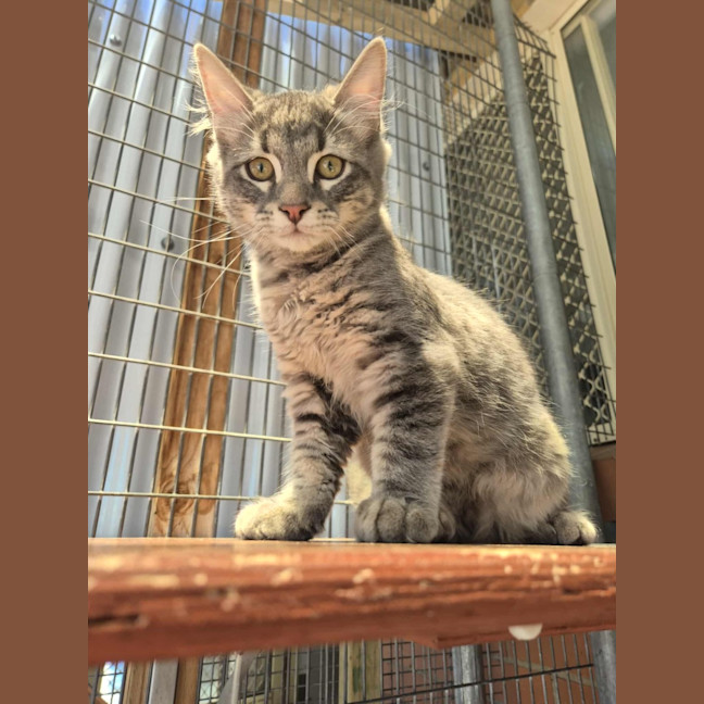 Photo of Winter! ❄️