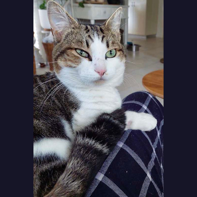 Photo of Bub
