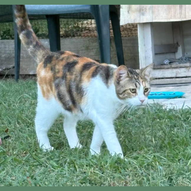 Photo of Artemis And Apollo