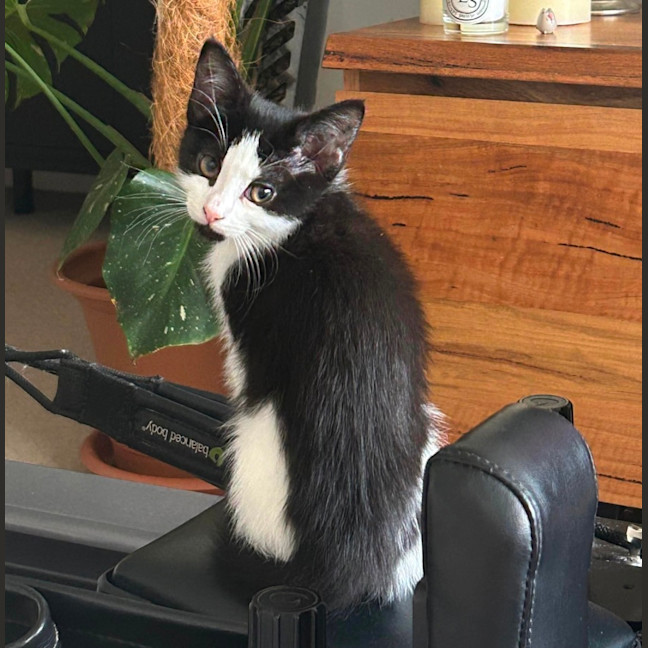 Photo of Olivia Benson & Elliot 