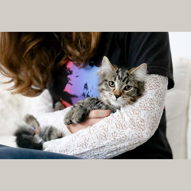 Photo of Ralph