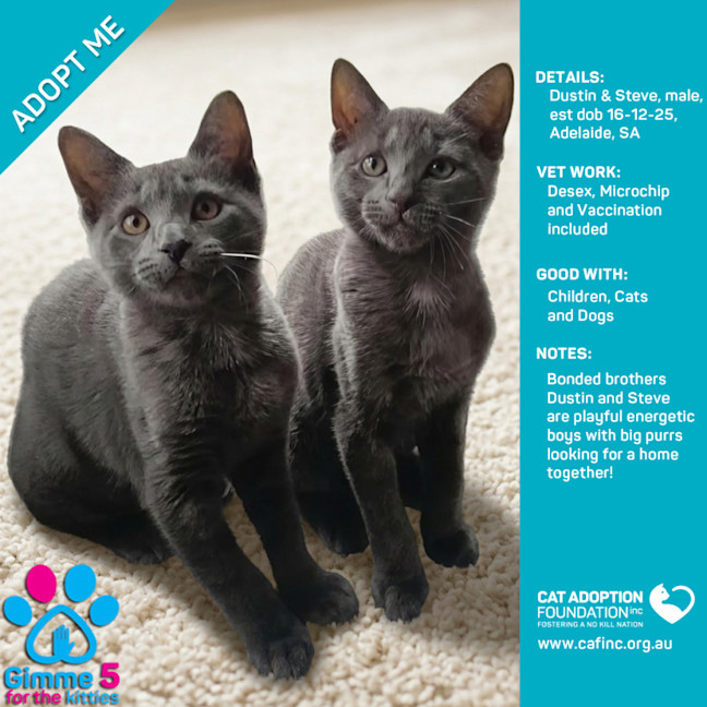 Photo of Dustin And Steve