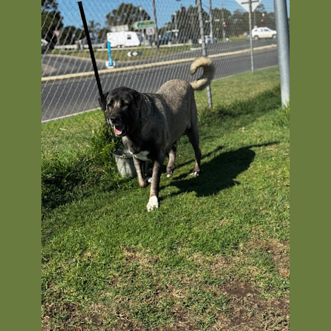 Photo of Lara (60413)