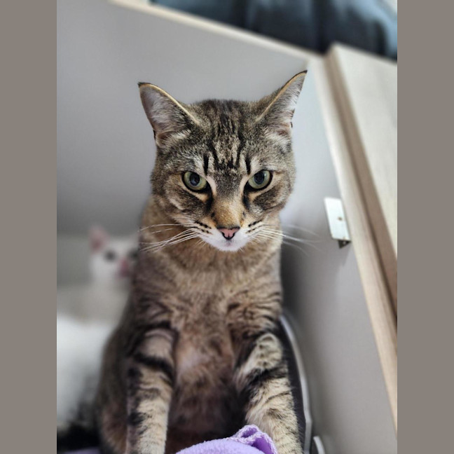 Photo of 🫶 Rudy 6712 🫶