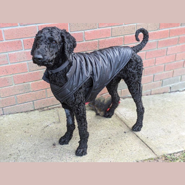 Photo of Arthur Russelton