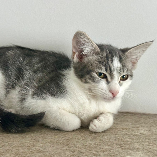 Photo of Esme