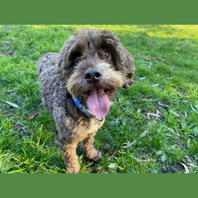 Photo of Milo Russelton