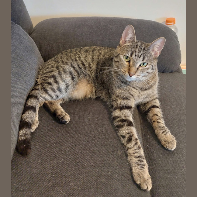 Photo of Molly