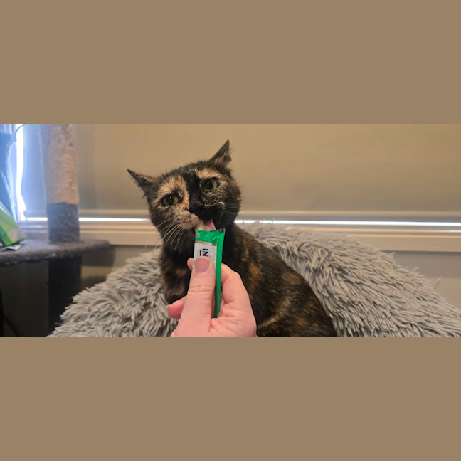 Photo of Emmy