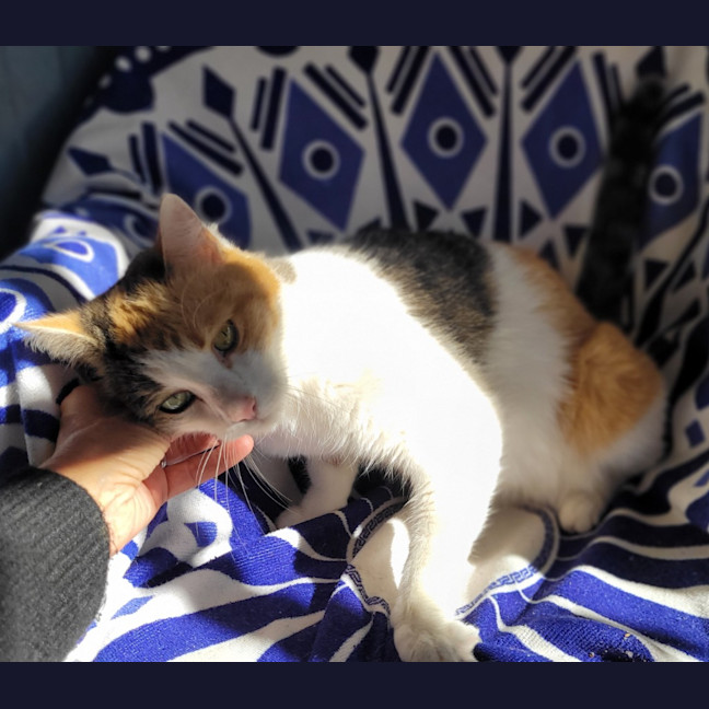 Photo of Maggie