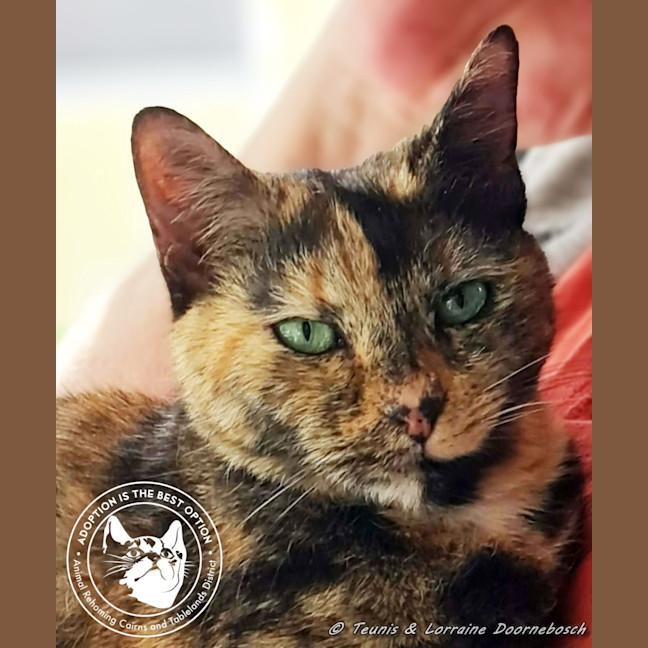 Photo of Eagless And Weston