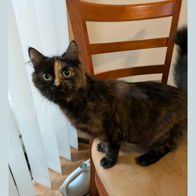 Photo of Daisy