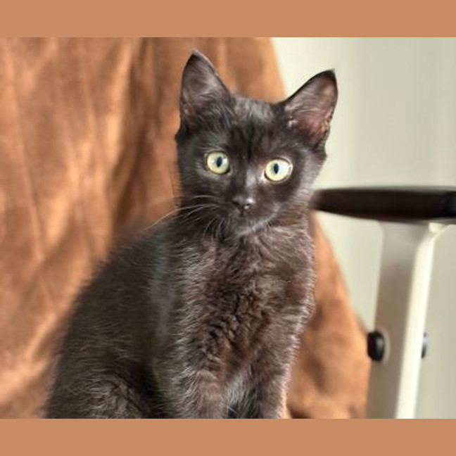 Photo of Walter